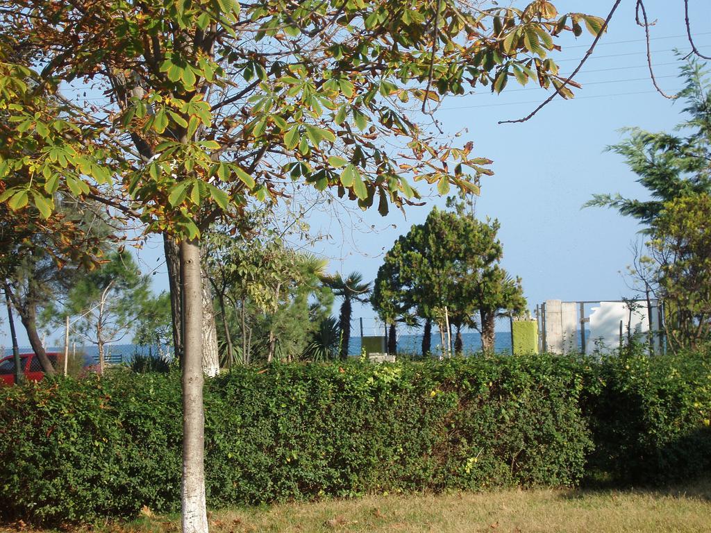 Four Seasons 2 Apartment Paralia Katerinis Ngoại thất bức ảnh